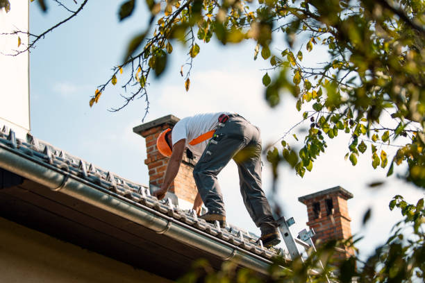 Quick and Trustworthy Emergency Roof Repair Services in Grant, MN