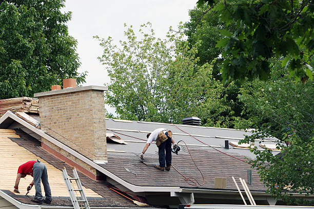 Professional Roofing Contractor in Grant, MN