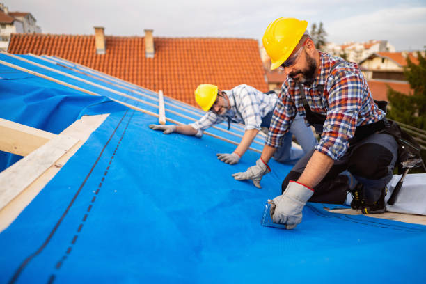 Best Roof Maintenance Services  in Grant, MN