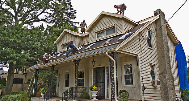 Best Storm Damage Roof Repair  in Grant, MN