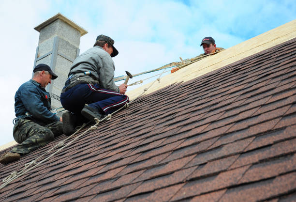 Best Flat Roof Repair Services  in Grant, MN